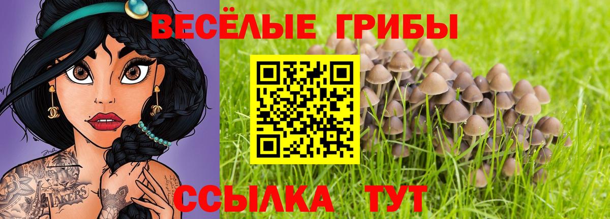 как найти наркотики  Псилоцибиновые грибы мухоморы  Трёхгорный  Вход с VPN  Псилоцибиновые грибы ЛСД 